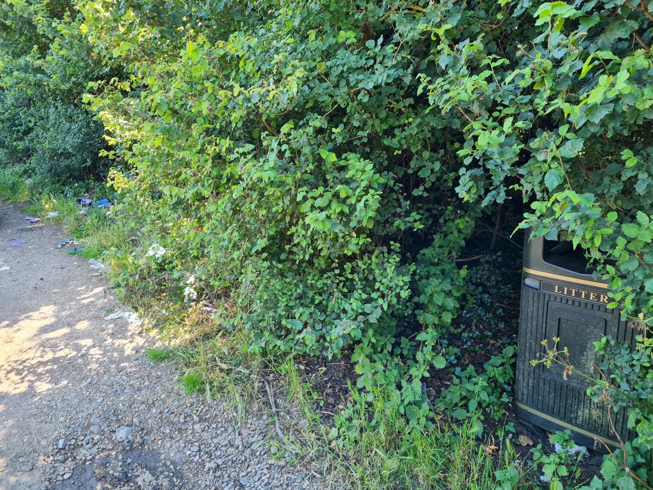 2024-06-21 01 Homersfield.jpg