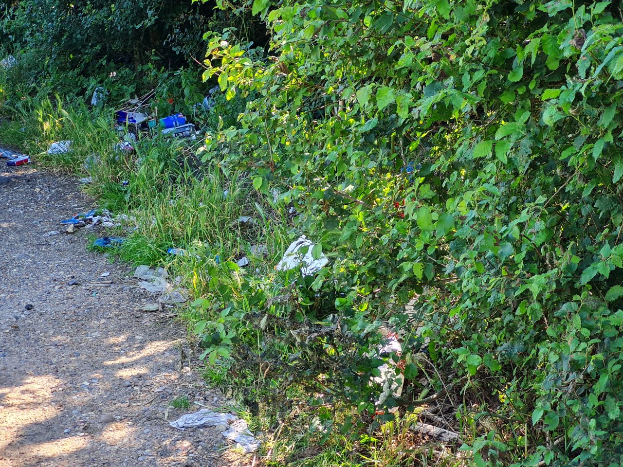 2024-06-21 02 Homersfield.jpg