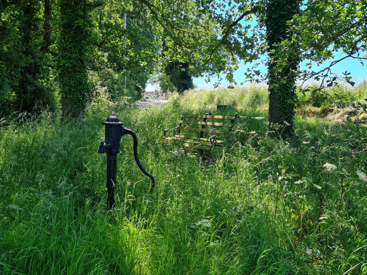 2024-06-21 15 Homersfield.jpg