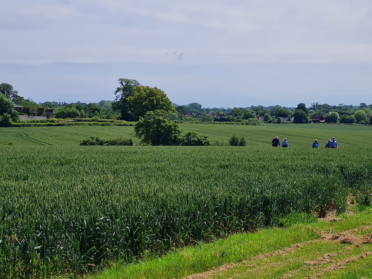 2024-06-21 16 Homersfield.jpg