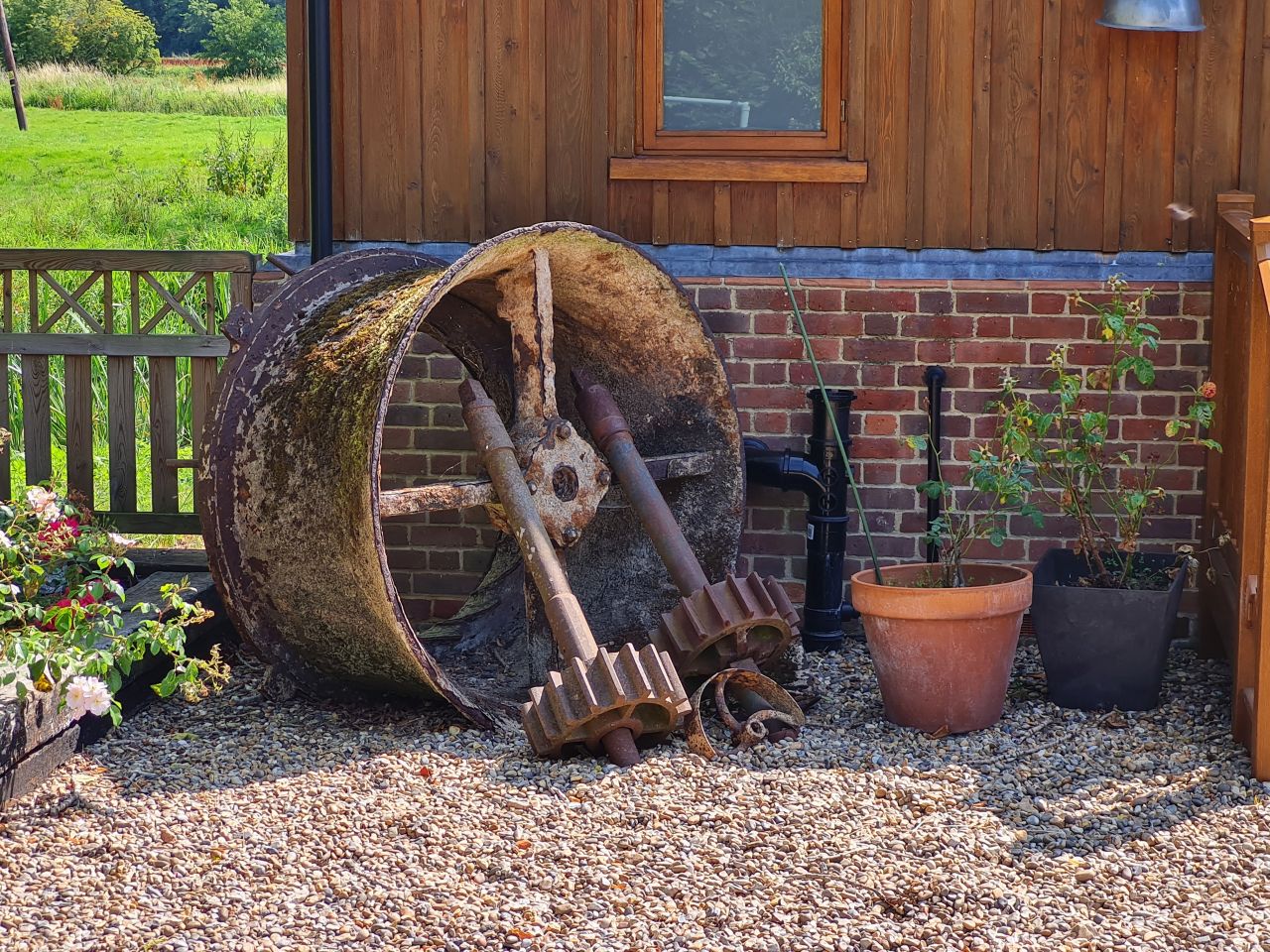 2024-07-24 13 Rural Rambles Harleston Walk 7.jpg