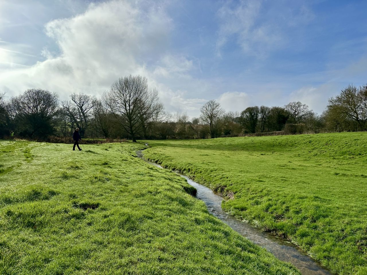 2026-02-08 02 Denton Woods.jpg