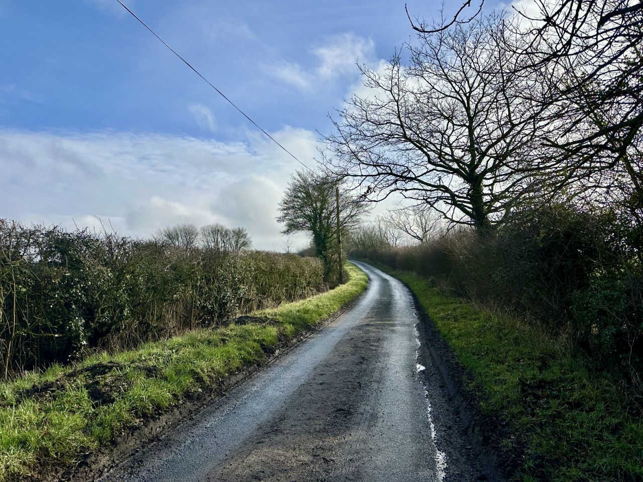 2026-02-08 04 Denton Woods.jpg