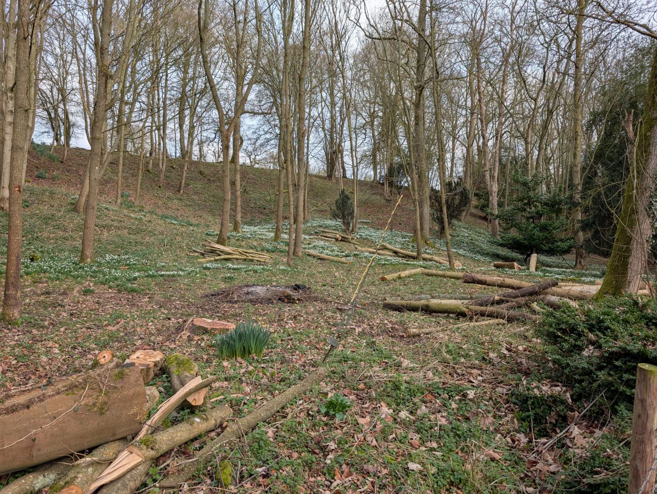 2026-02-18 02 Homersfield and Denton.jpg