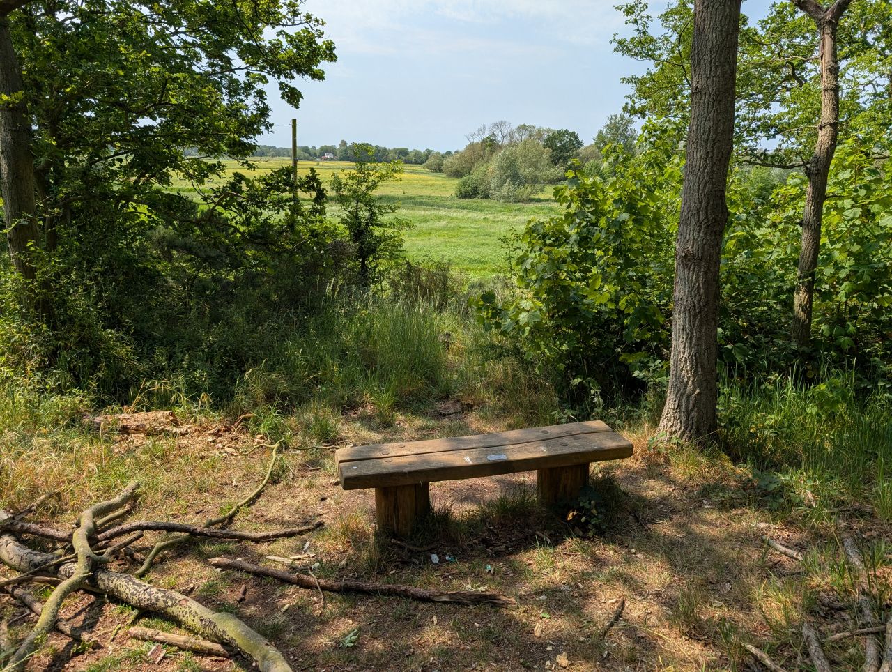 2026-05-27 03 Homersfield Community Wood.jpg