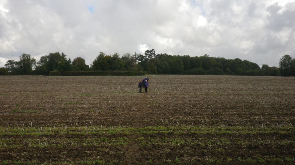 2017-09-17 05 Wortham.jpg