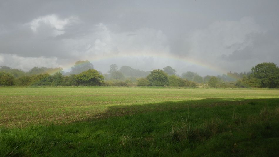 2017-09-17 25 Wortham.jpg