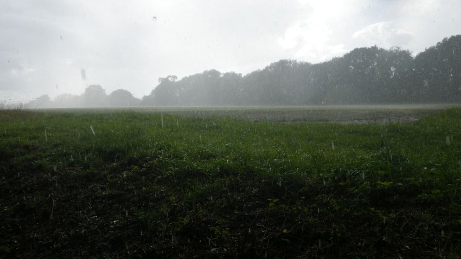 2017-09-17 28 Hail Storm.jpg