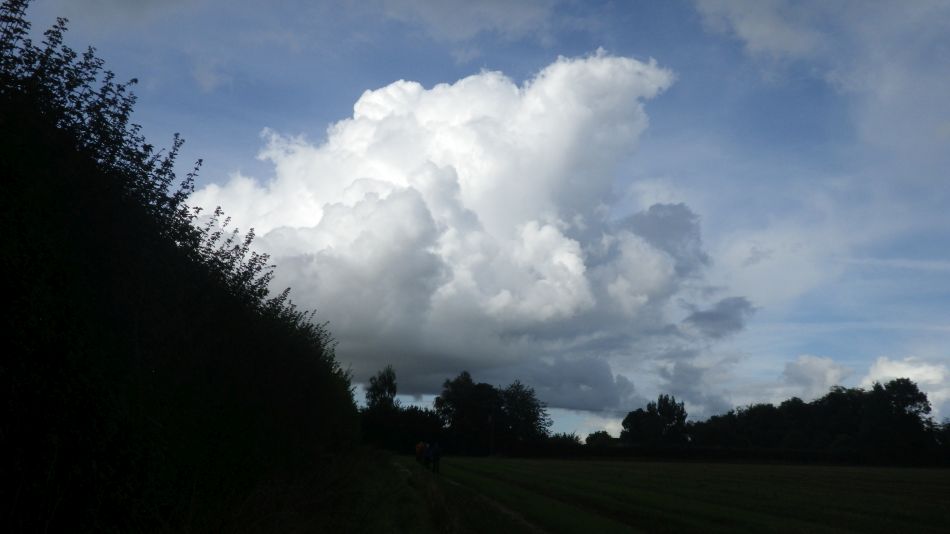 2017-09-17 32 Wortham.jpg