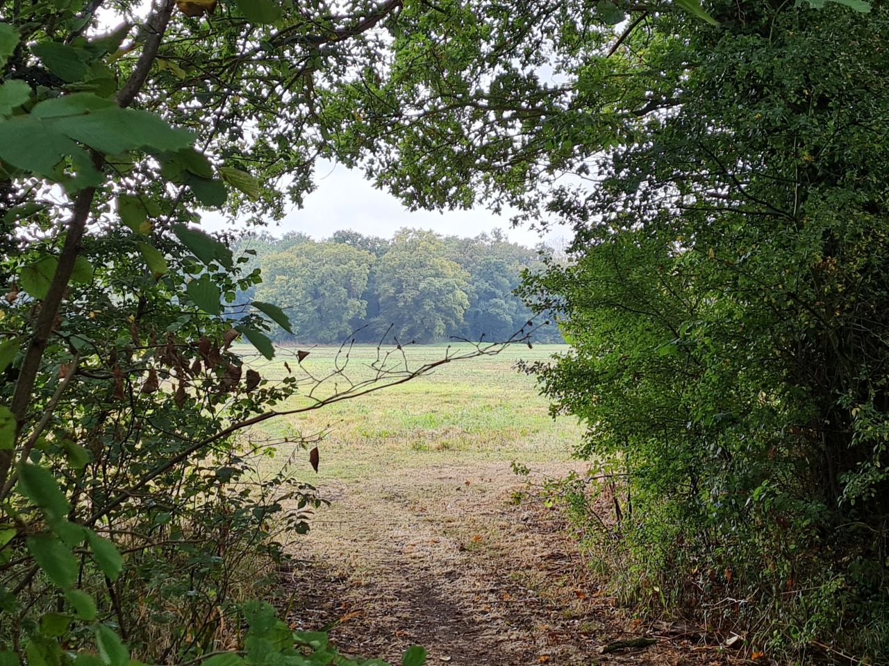 2024-09-24 27 Wortham and Mellis.jpg