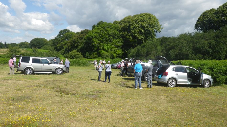 2019-07-03 01 Docwras Ditch 5.5.jpg