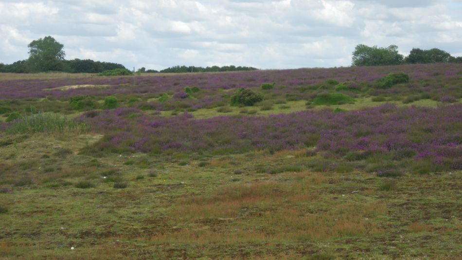 2019-07-03 02 Docwras Ditch 5.5.jpg