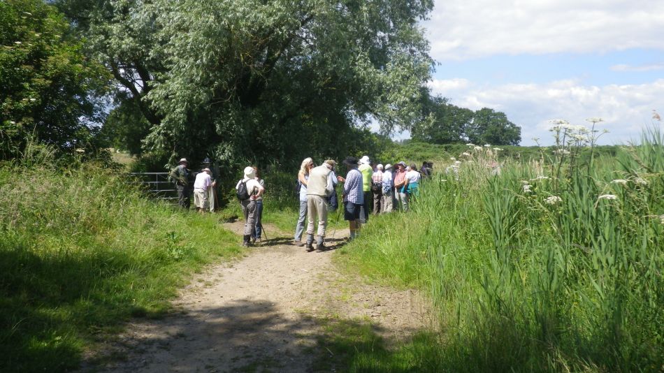 2019-07-03 06 Docwras Ditch 5.5.jpg