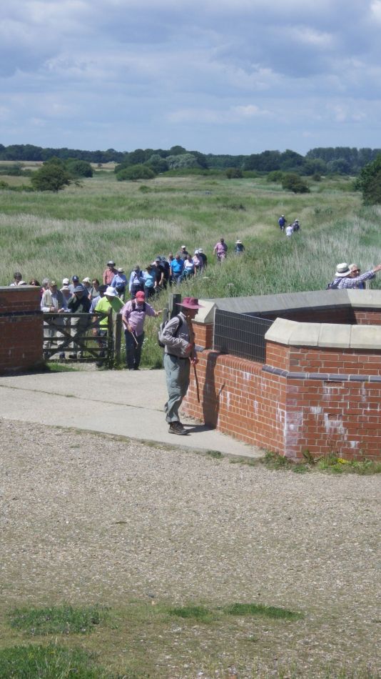 2019-07-03 07 Docwras Ditch 5.5.jpg