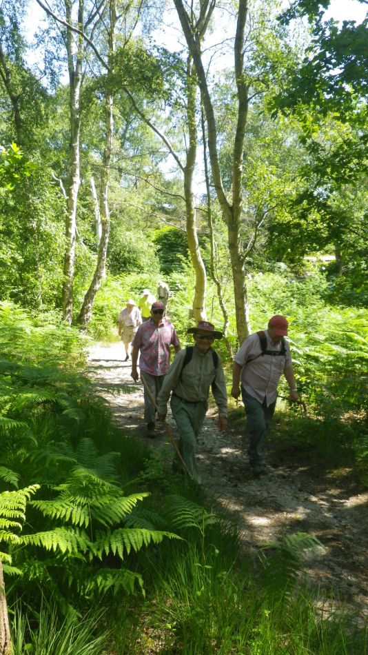 2019-07-03 13 Docwras Ditch 5.5.jpg