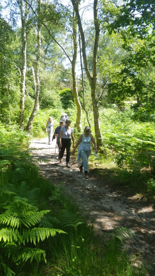 2019-07-03 15 Docwras Ditch 5.5.jpg