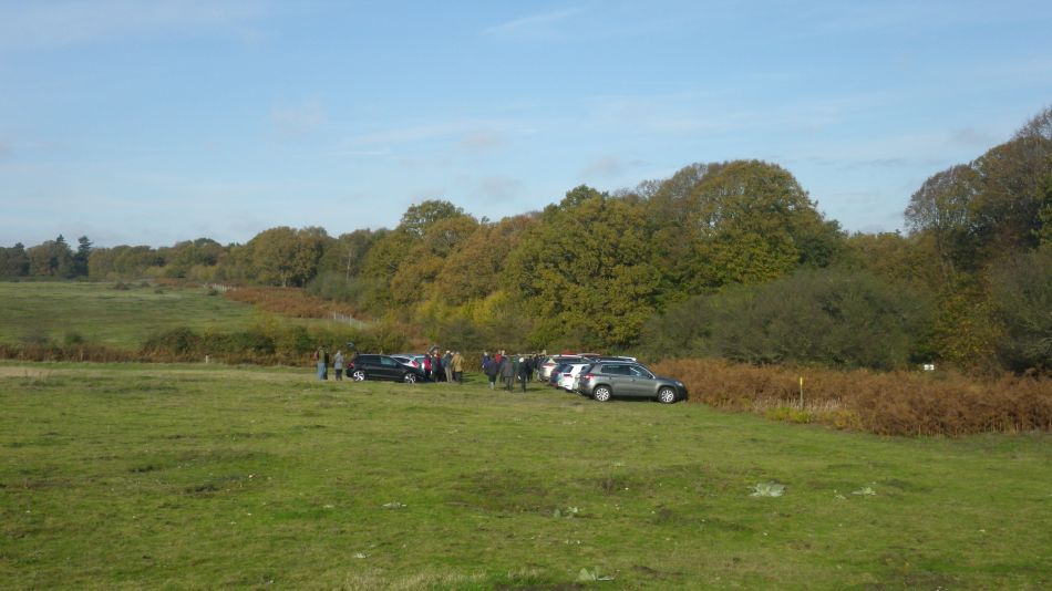 2019-11-13 01 Westleton Walks.jpg