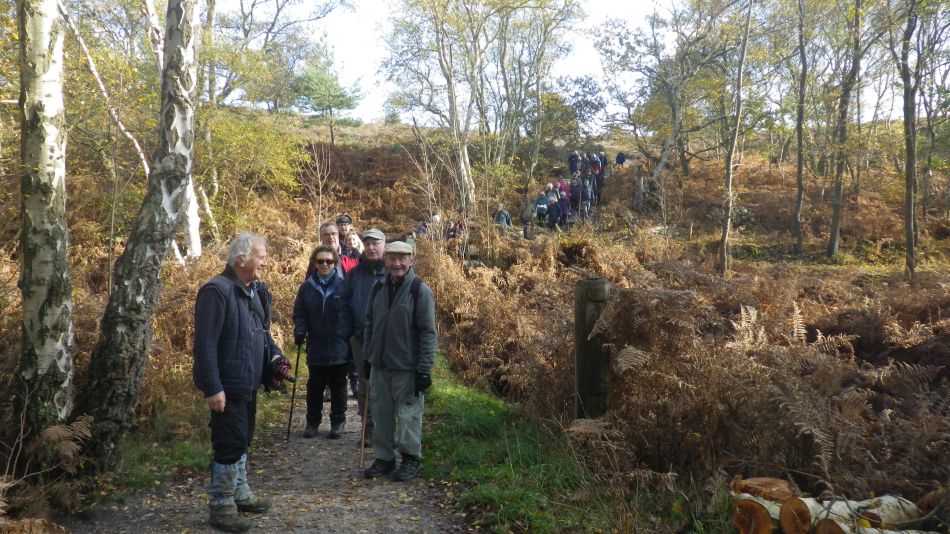 2019-11-13 02 Westleton Walks.jpg