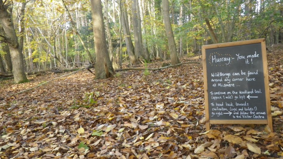 2019-11-13 03 Westleton Walks.jpg