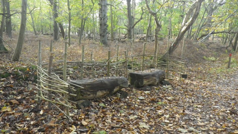 2019-11-13 04 Westleton Walks.jpg