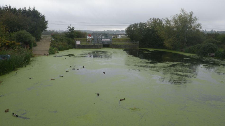 2020-09-01 03 Flatford and Cattawade.jpg