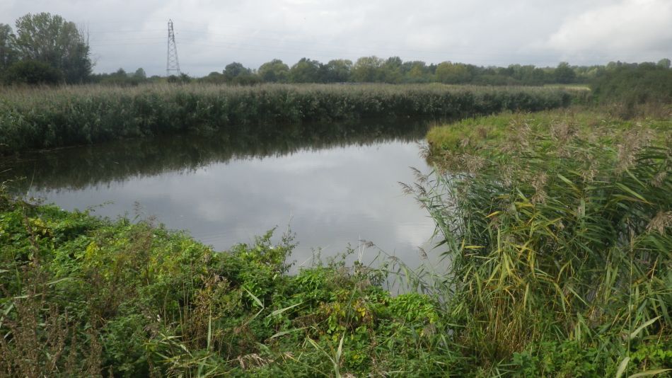 2020-09-01 08 Flatford and Cattawade.jpg