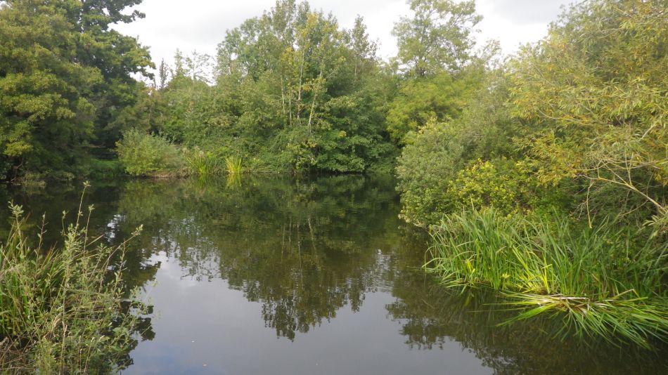 2020-09-01 09 Flatford and Cattawade.jpg