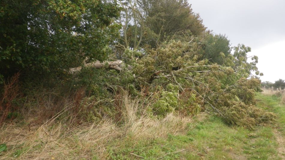 2020-09-01 24 Flatford and Cattawade.jpg