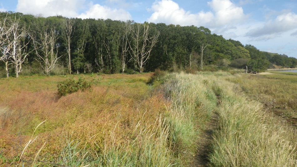 2020-09-02 10 Catawade and Stutton.jpg