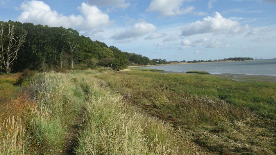 2020-09-02 11 Catawade and Stutton.jpg