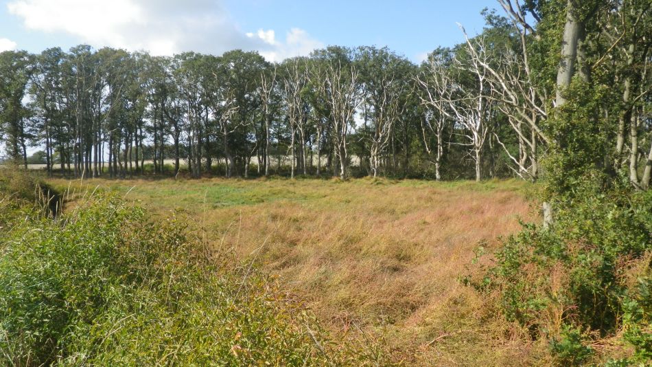 2020-09-02 12 Catawade and Stutton.jpg