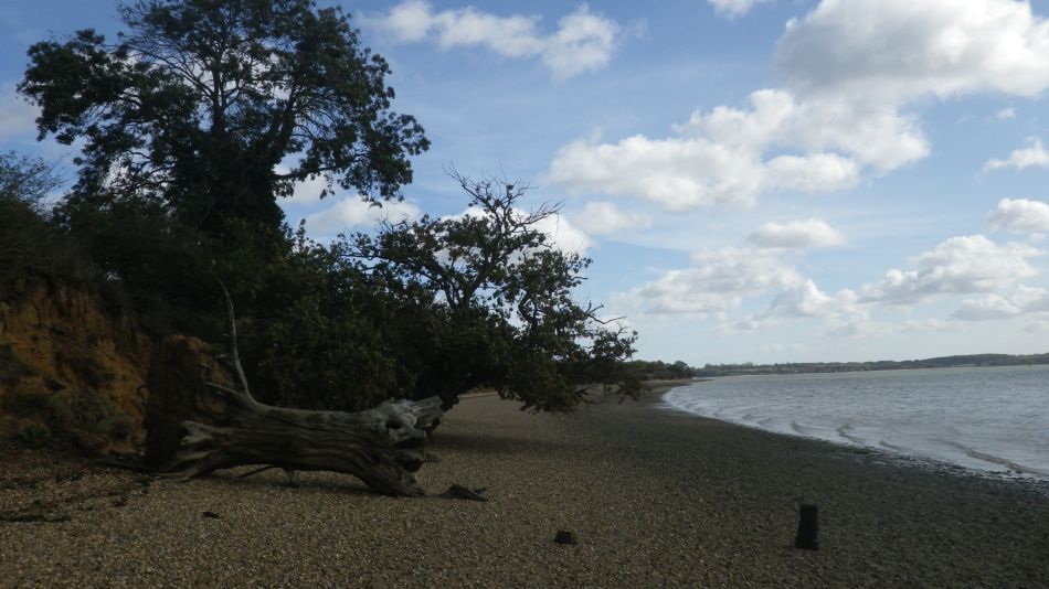 2020-09-02 14 Catawade and Stutton.jpg