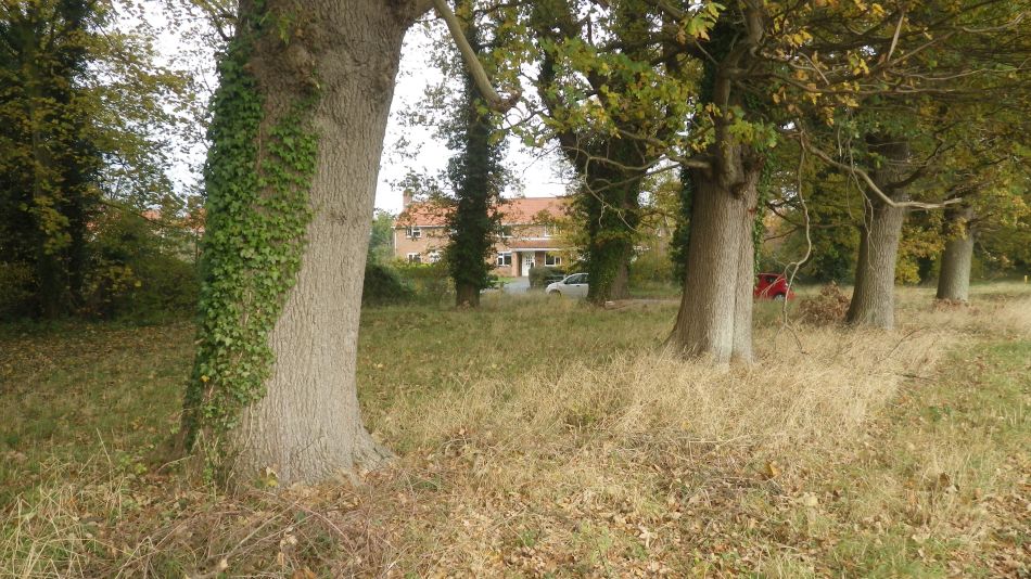 2017-11-15 02 Fritton and Boudicca Way.jpg