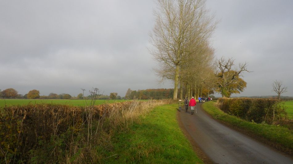 2017-11-15 04 Fritton and Boudicca Way.jpg