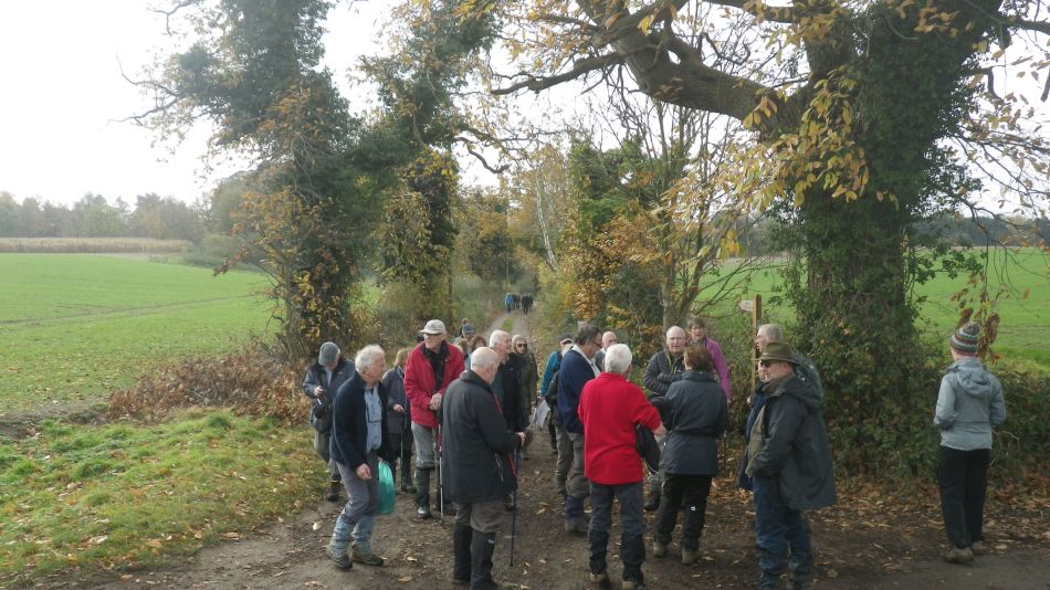 2017-11-15 06 Fritton and Boudicca Way.jpg