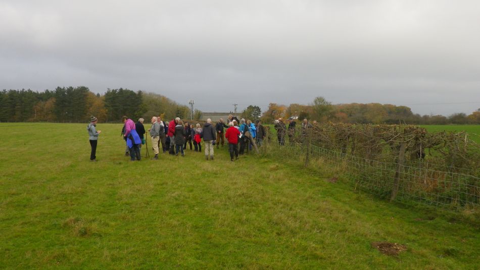 2017-11-15 07 Fritton and Boudicca Way.jpg