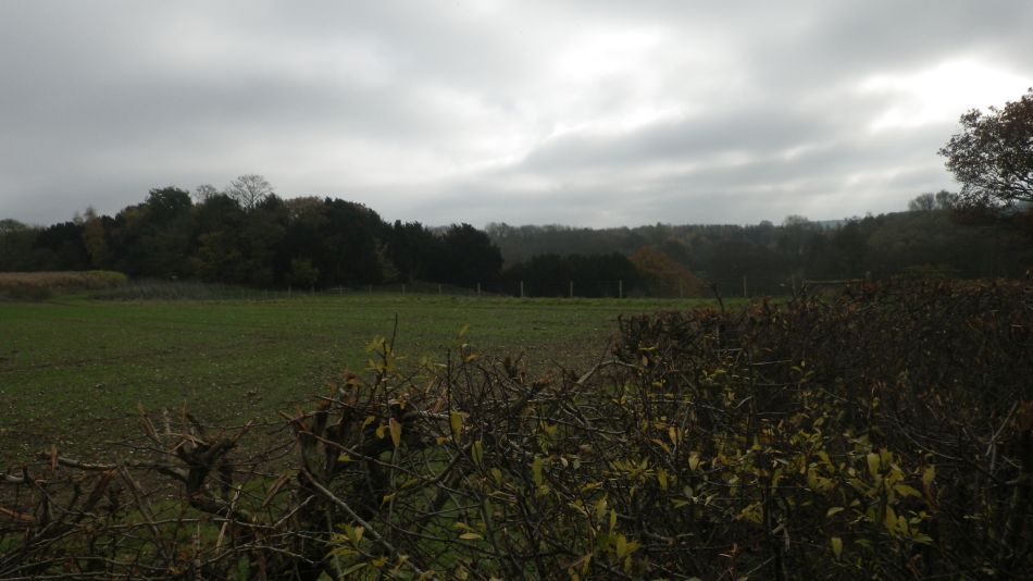 2017-11-15 09 Fritton and Boudicca Way.jpg