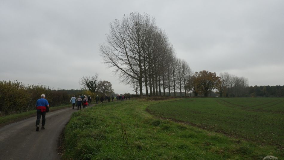 2017-11-15 13 Fritton and Boudicca Way.jpg