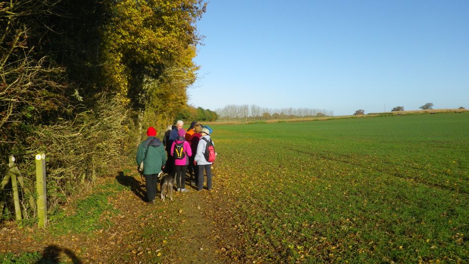 2017-11-19 02 Southern Norfolk Group at Pulham Market.jpg