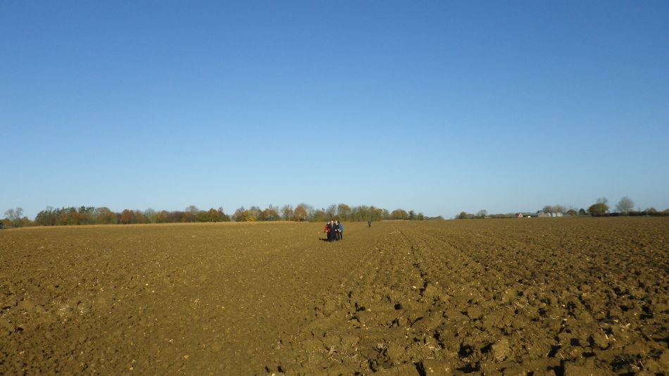 2017-11-19 04 Southern Norfolk Group at Pulham Market.jpg