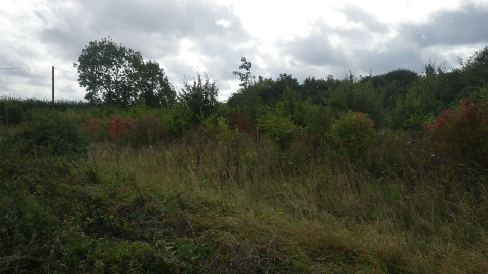 2019-09-04 12 Pulhams.jpg