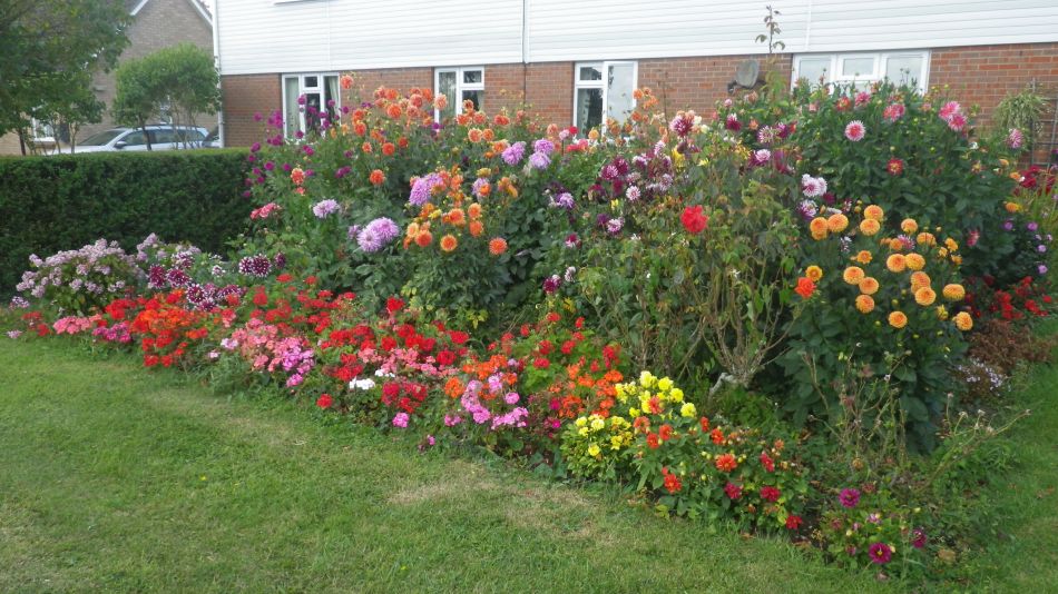 2019-09-04 15 Pulhams.jpg