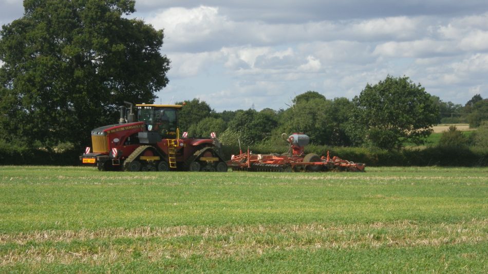 2019-09-04 17 Pulhams.jpg