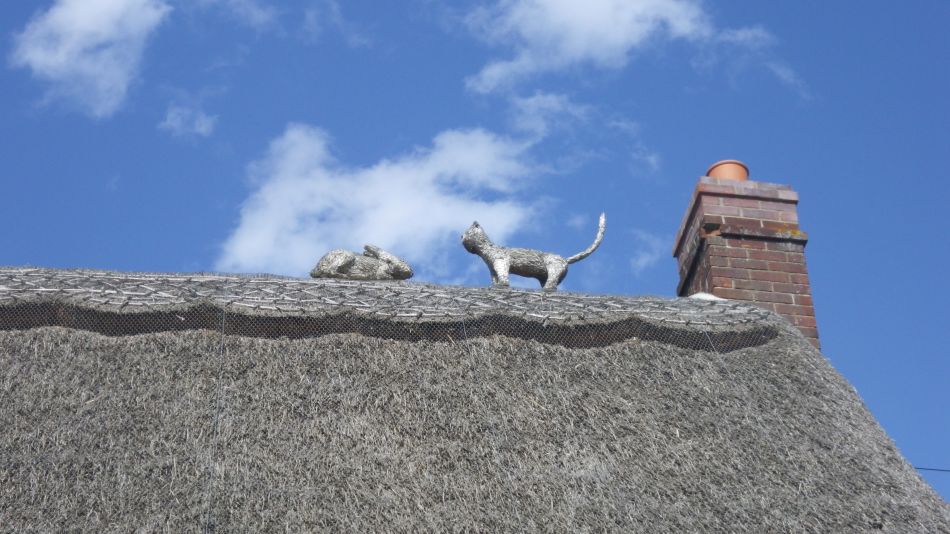 2019-09-04 18 Pulhams.jpg