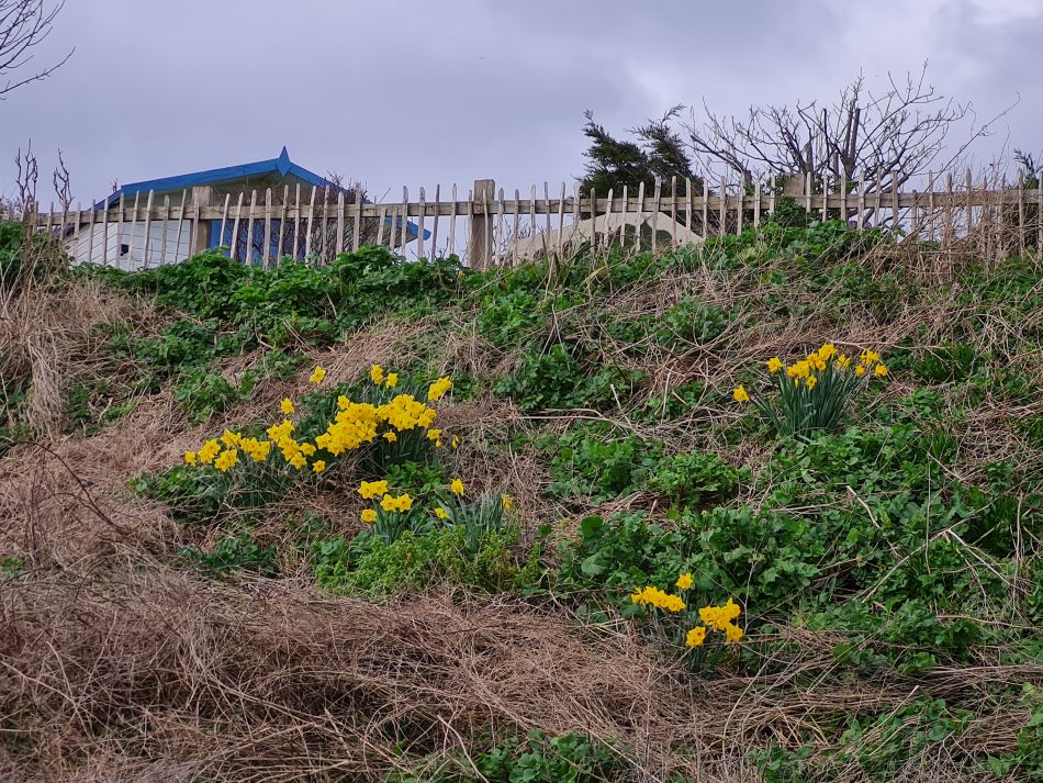 2024-03-16 03 Waveney Way 19.jpg