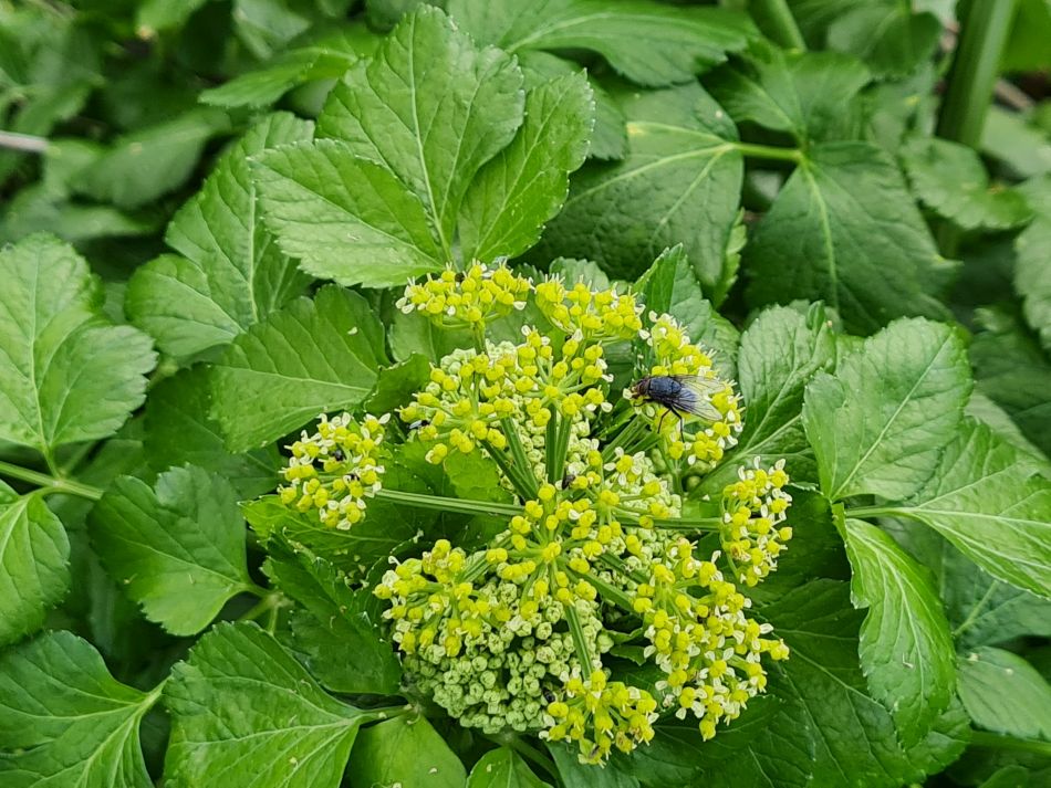 2024-03-16 18 Waveney Way 19.jpg