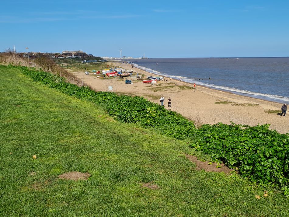 2024-03-16 23 Waveney Way 19.jpg