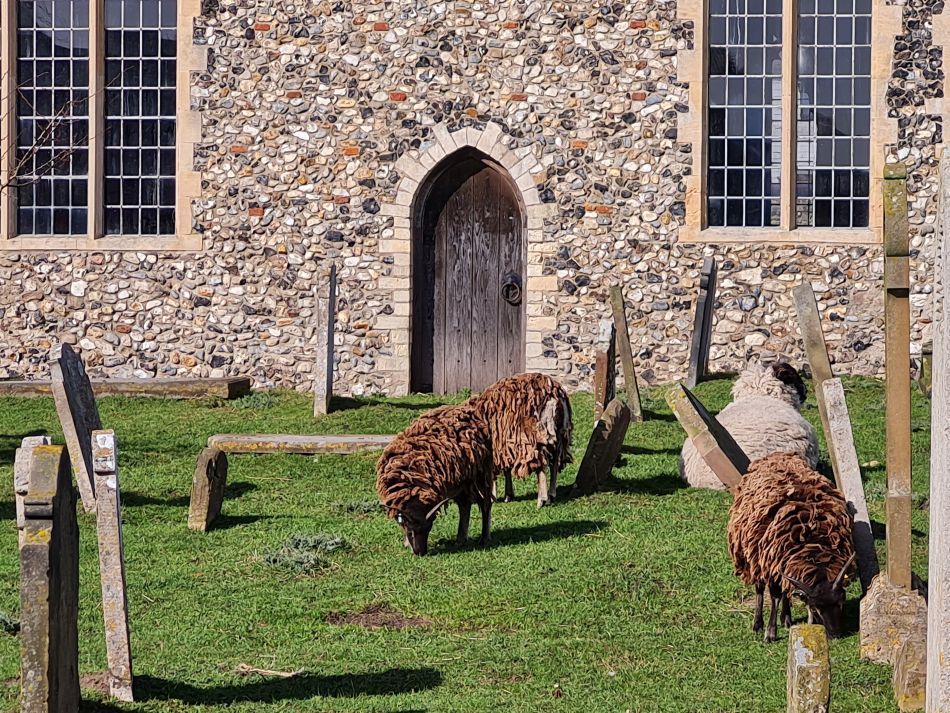 2024-03-16 26 Waveney Way 19.jpg