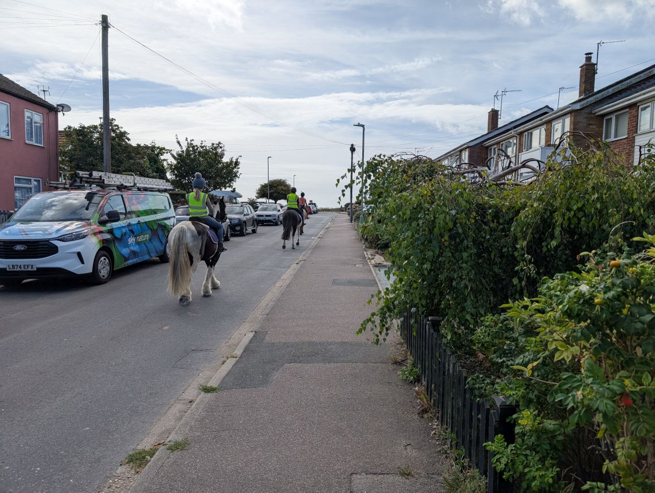 2025-08-27 07 Kirkley Anniversary Picnic.jpg