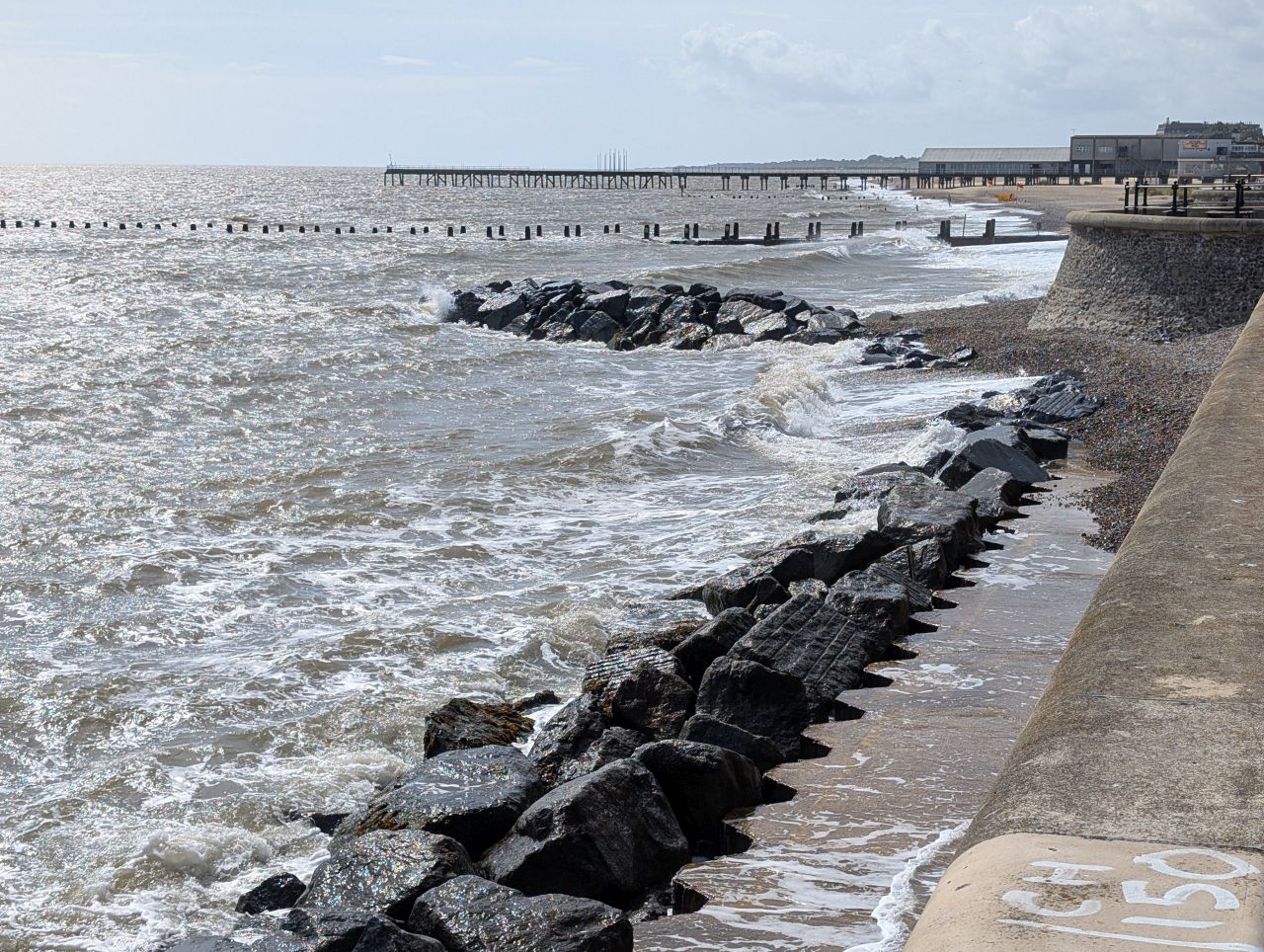 2025-08-27 25 Kirkley Anniversary Picnic.jpg